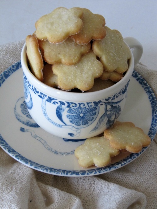 Sugar Cookies