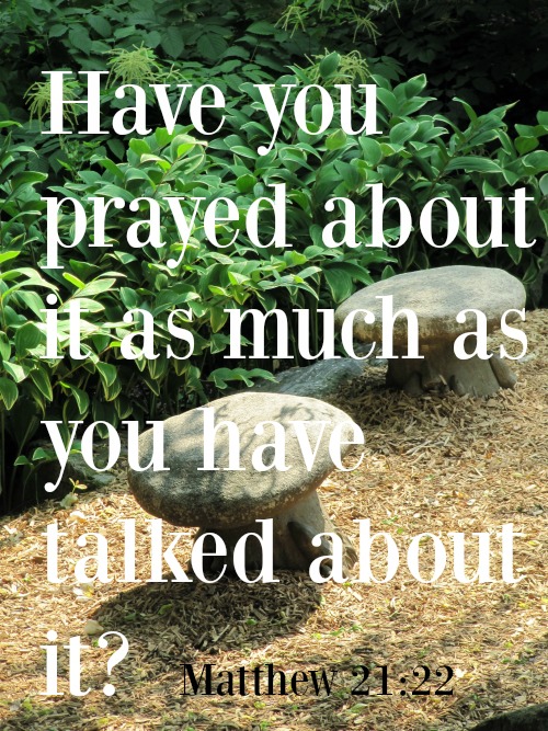 Silent Sunday 7-17-2016