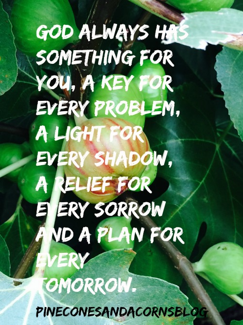 Silent Sunday 8-14-2016