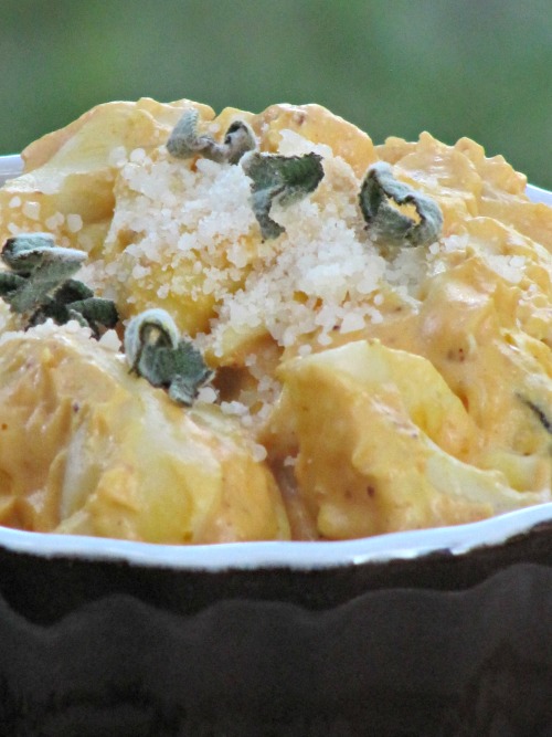 Fall Pasta Favorites