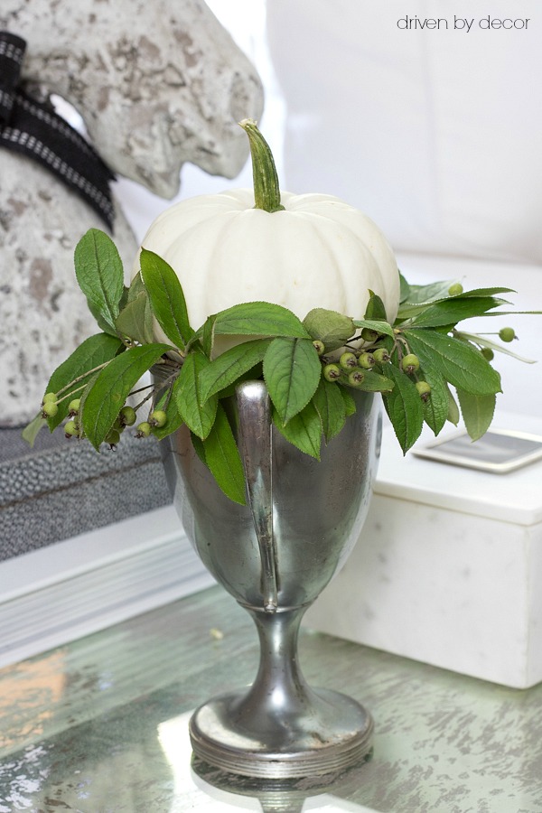 Friday Favorites from Driven by Decor, Savor Home, Williams Sonoma, The Modern Mrs. Darcy and More