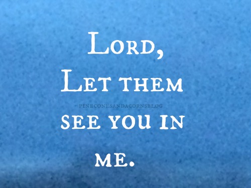 Silent Sunday 11-13-2016