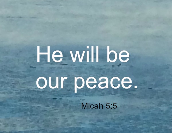 Silent Sunday 12-18-2016