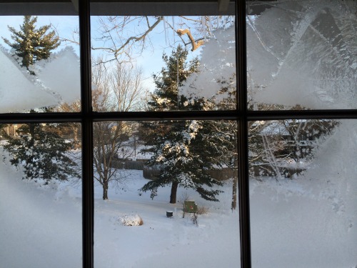 Just Curious…What is on Your Winter Bucket List
