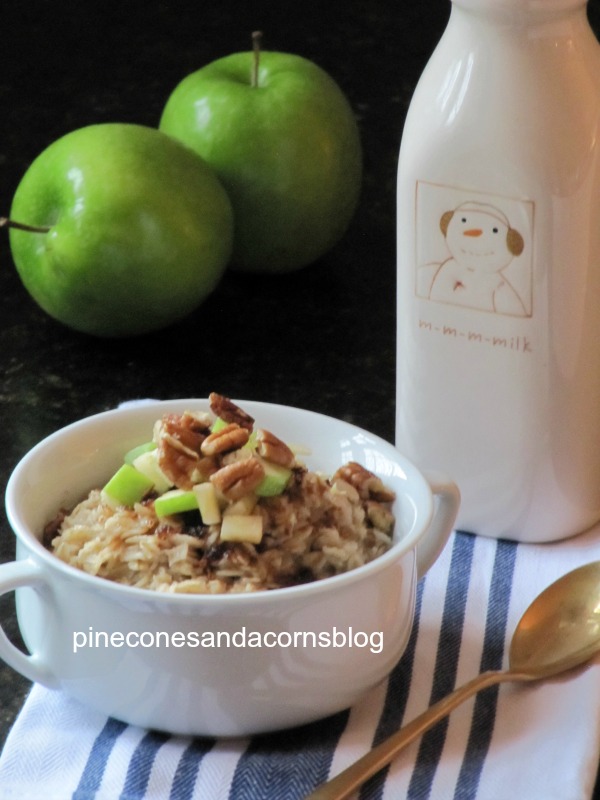 Apple Pie Oatmeal