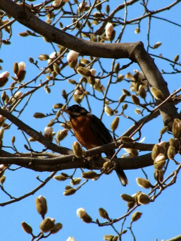 Just Curious…What is on Your Spring Bucket List?