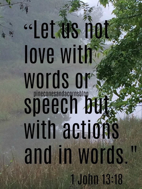 Silent Sunday 5-28-2017