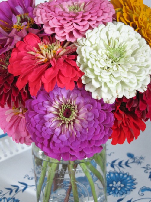 Friday Favorites from Joy the Baker, Add a Pinch, Decor8, Fiona Lewis, The Modern Mrs. Darcy and More