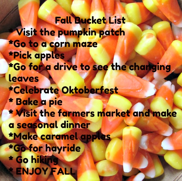 Just curious…What is on Your Fall Bucket List for 2017?