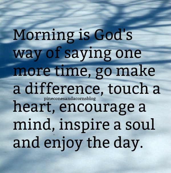 Silent Sunday 1-14-2018