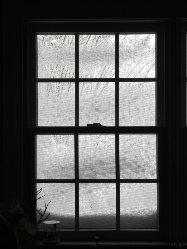 Snow Views