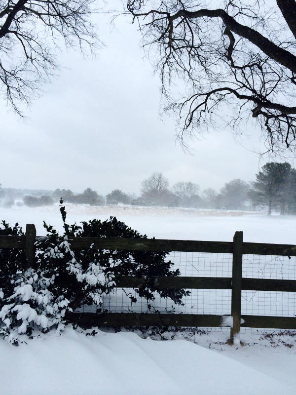 Just Curious…How Do You Stay Cozy in the Winter?