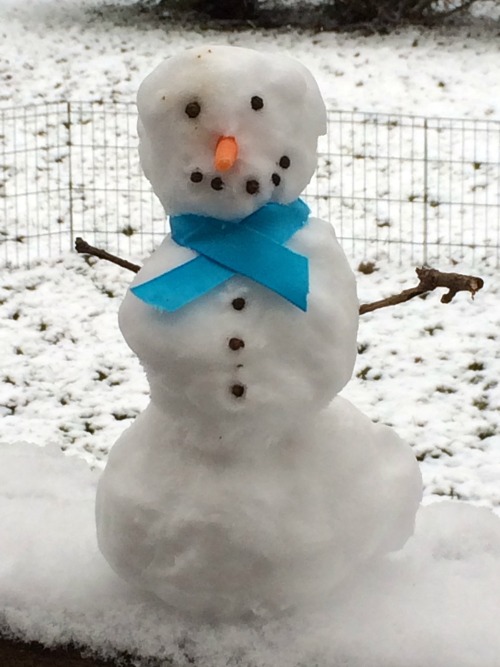 Snow Day