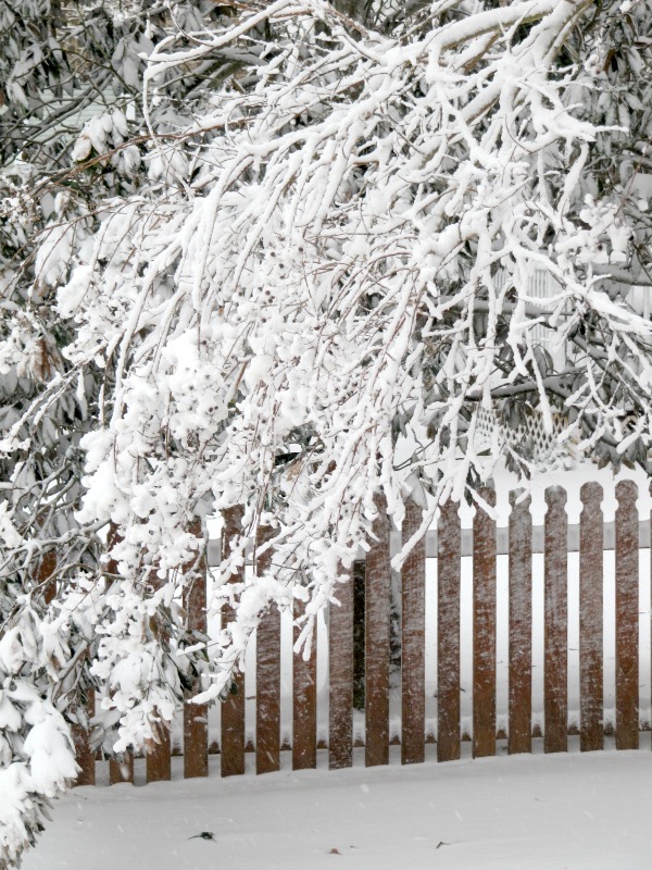 The Little Things…Winter