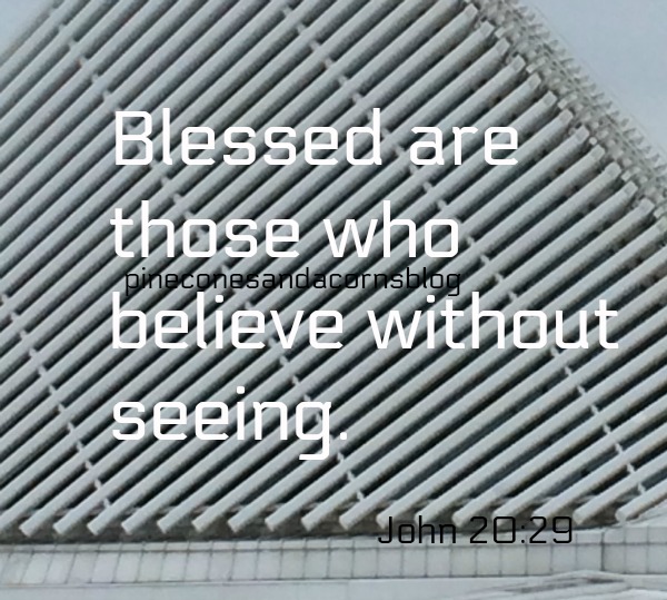 Silent Sunday -3-11-2018