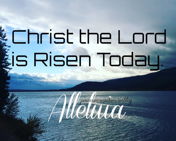 Happy Easter!