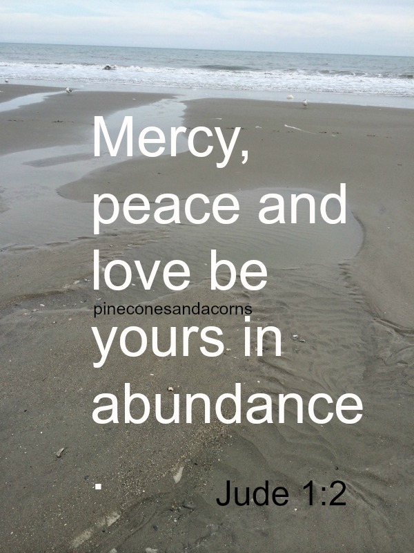 Silent Sunday 5-19-2018