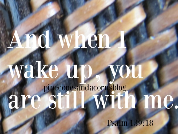 Silent Sunday 6-24-2018