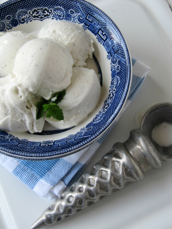 A blue and white bowl filled with no-churn vanilla bean ice cream and an ice scream scoop to the side. 
