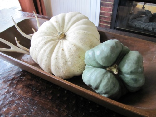 Friday Favorites from Spend with Pennies, All That’s Jas, Inside the Rustic Kitchen and More