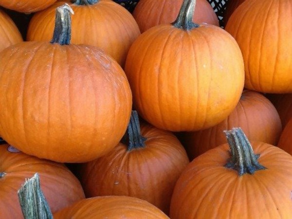Life Lately…October