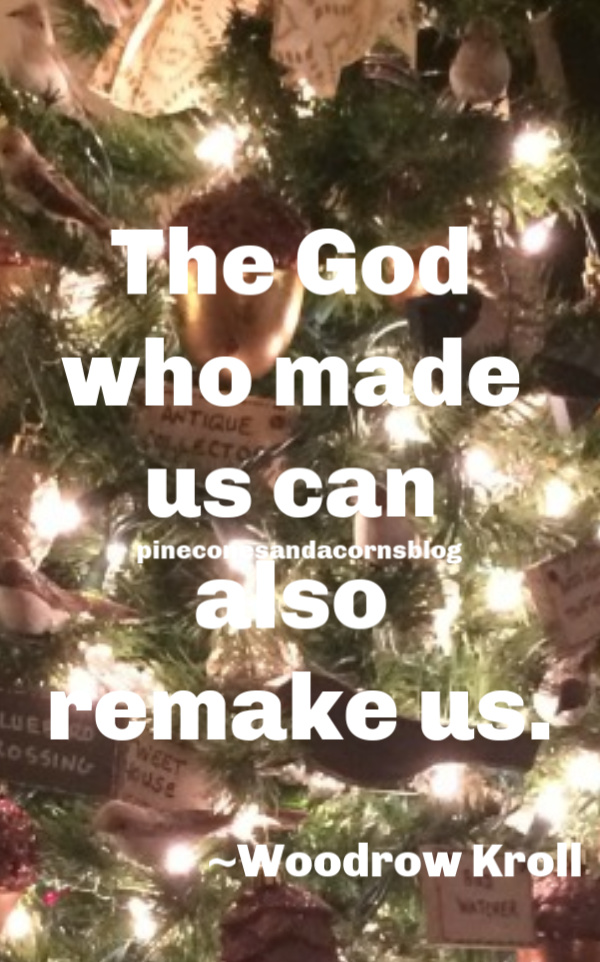 Silent Sunday 12-30-2018