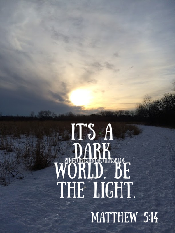Silent Sunday 1-20-2019