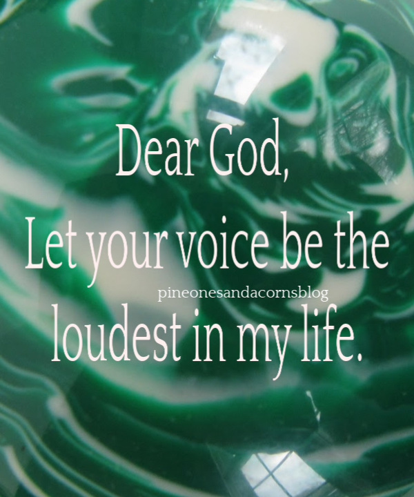 Silent Sunday 3-24-2019