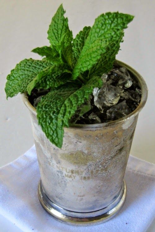 Mint Julep