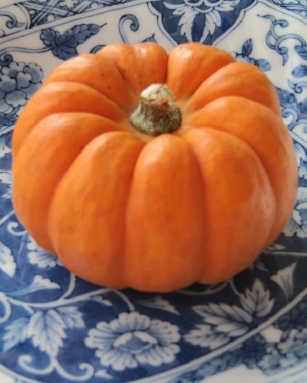 Dreaming of Fall