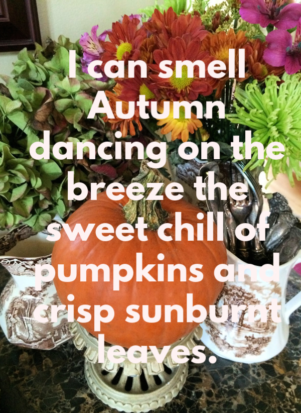 Friday Favorites from A Cookie Named Desire, How Sweet Eats, Foodtasia and More