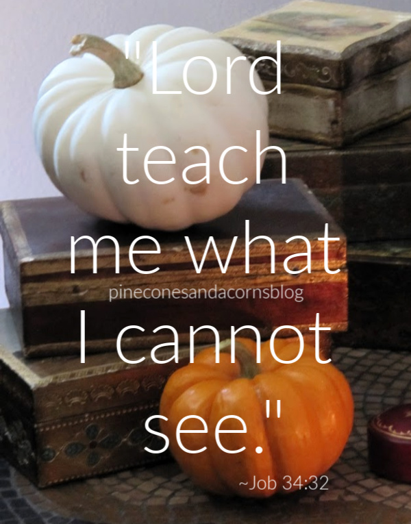 Silent Sunday 10-27-2019
