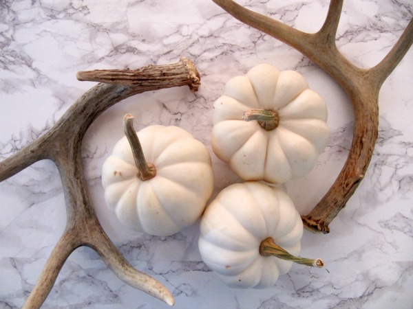 Fall Bucket list, antlers and white pumpkins. 
