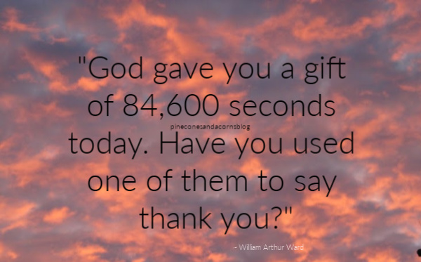 Silent Sunday 11-17-2019