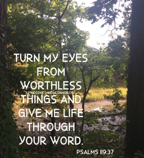 Silent Sunday 12-29-2019
