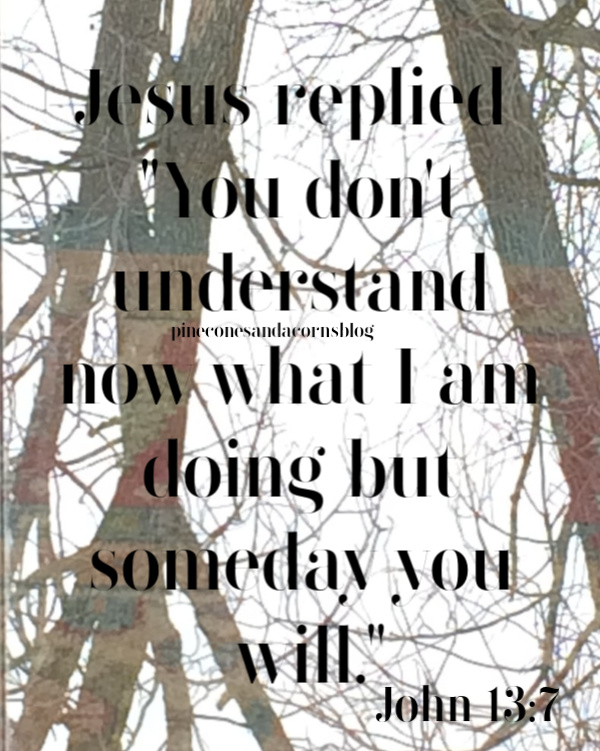 Silent Sunday 1-19-2019