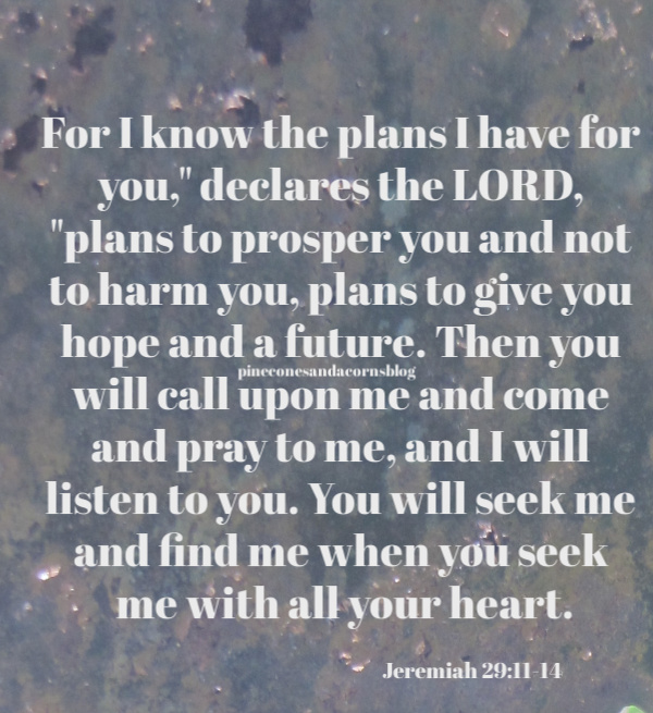 Silent Sunday 3-29-2020