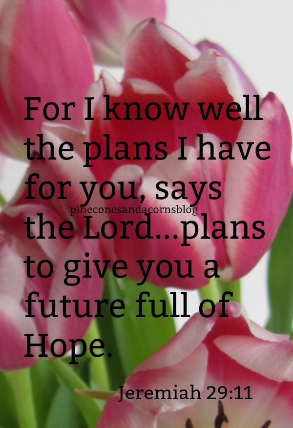 Silent Sunday 3-8-2020