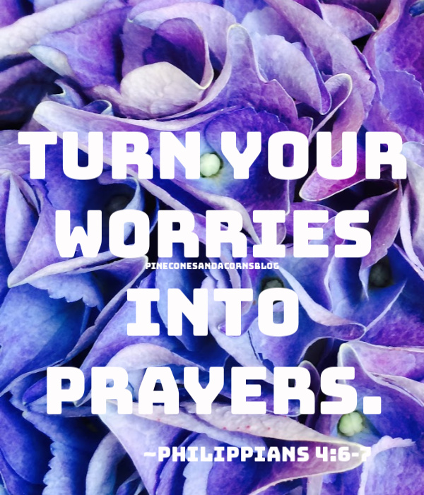 Silent Sunday 4-19-2020
