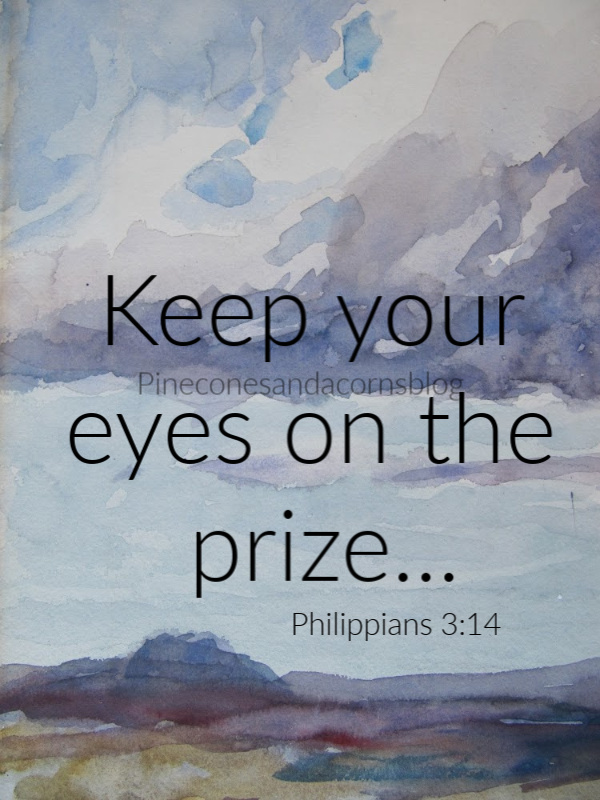 Silent Sunday 5-17-2020