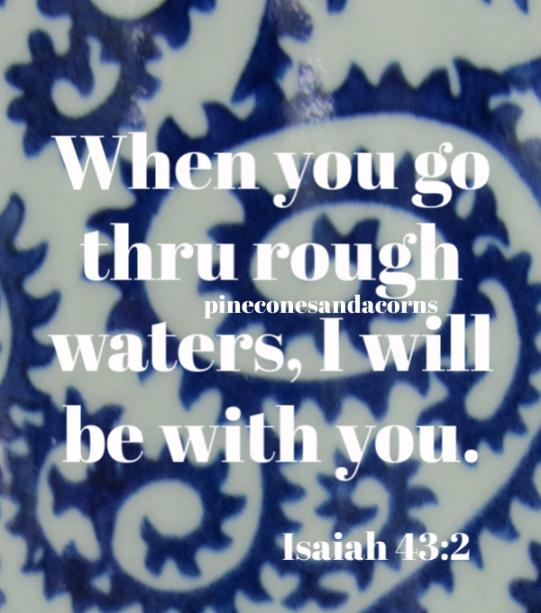Silent Sunday 6-14-2020
