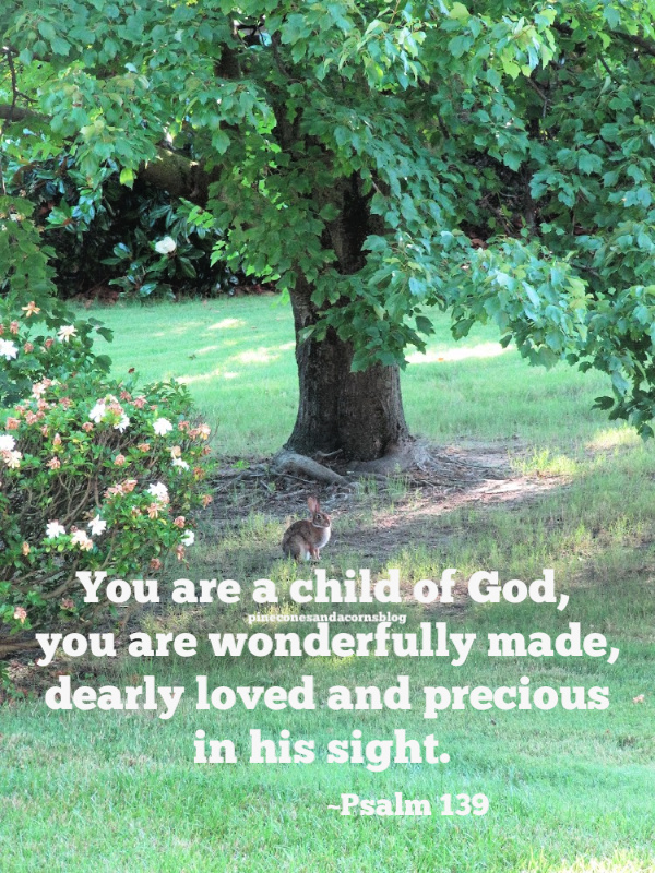 Silent Sunday 6-28-2020