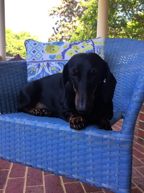 Saturday Finds from Brooks Brothers, Talbots, Williams Sonoma and Mroe