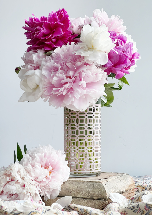 peony in a pink and white vase on a vintage piece of wood.