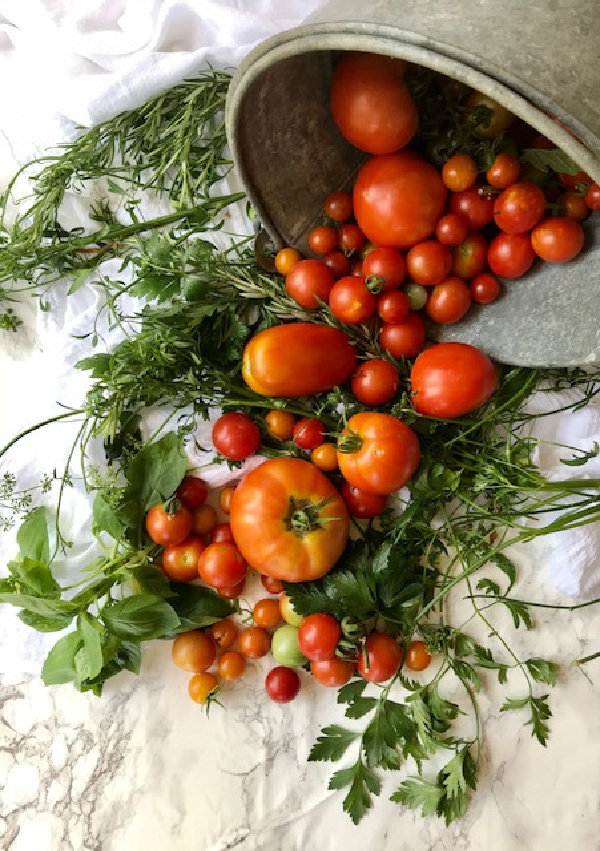 Spring self care ideas, red tomatoes and herbs spilling out of a galvanized bucket. 