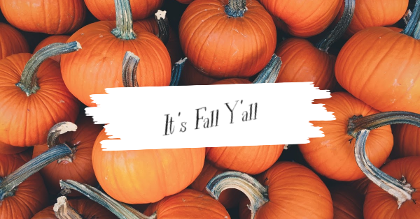 Friday Favorites from What’s Gabby Cooking, Recipe Tin Eats, Midwest Living and More