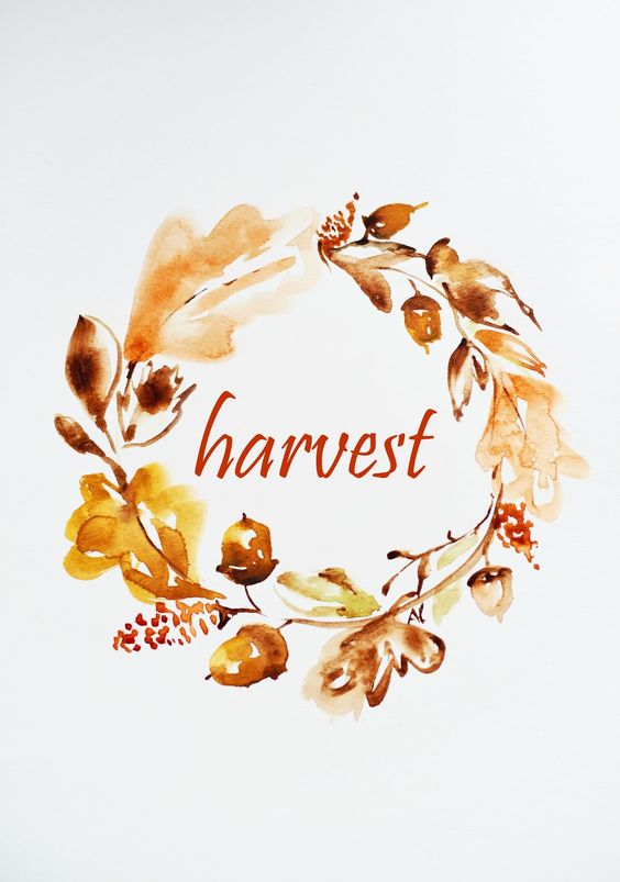 9 Fall Wreaths for Your Front Door