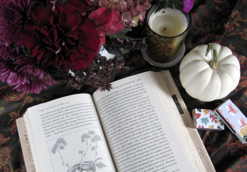 book, fall, candle, flatlay
