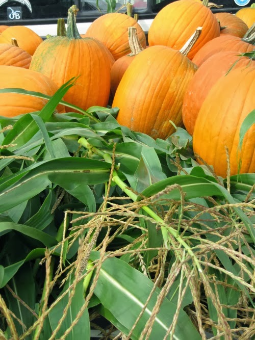 pumpkins