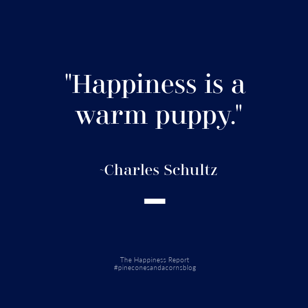 The Happiness Report No. 11